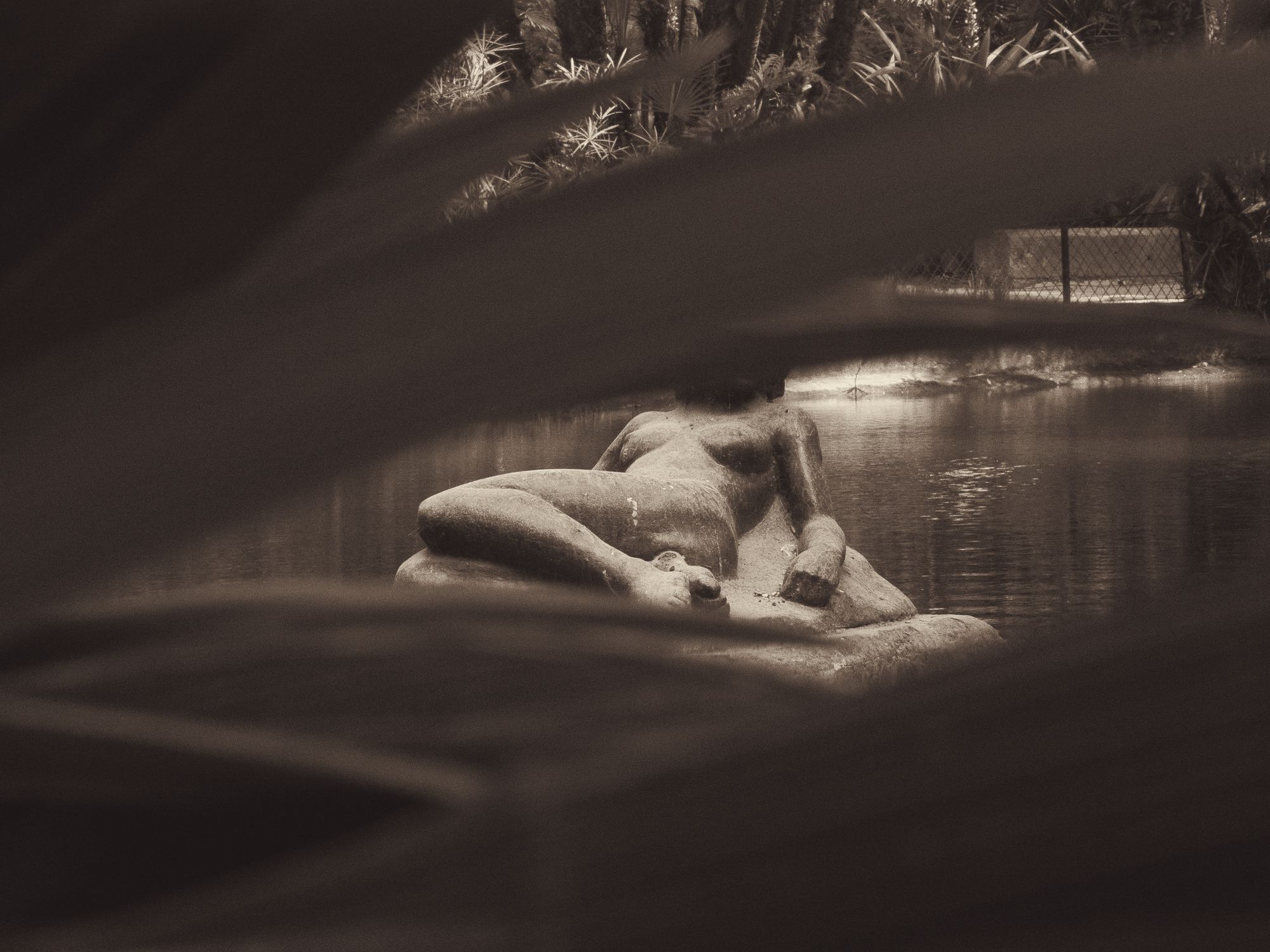 A weathered stone reclining figure glimpsed through palm fronds beside still water