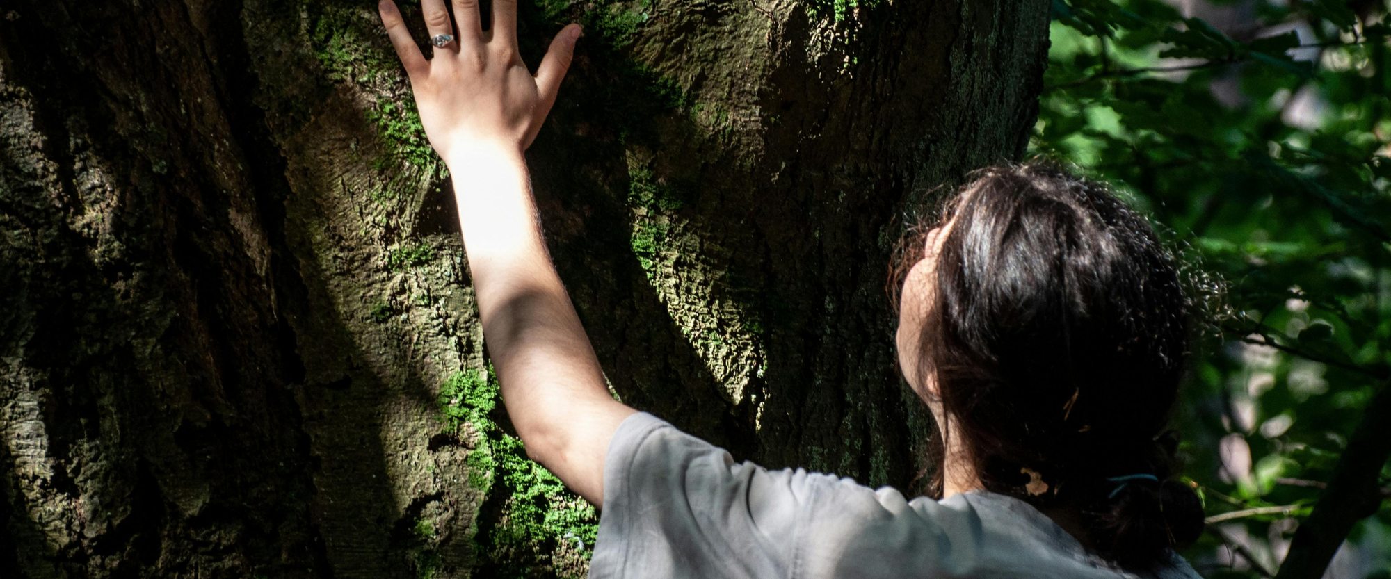 A hand reaching up to rest gently on a moss-covered tree trunk in dappled forest light