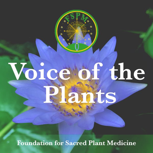 Voice of the Plants podcast cover: a blue water lily in bloom, with the Foundation for Sacred Plant Medicine emblem above it
