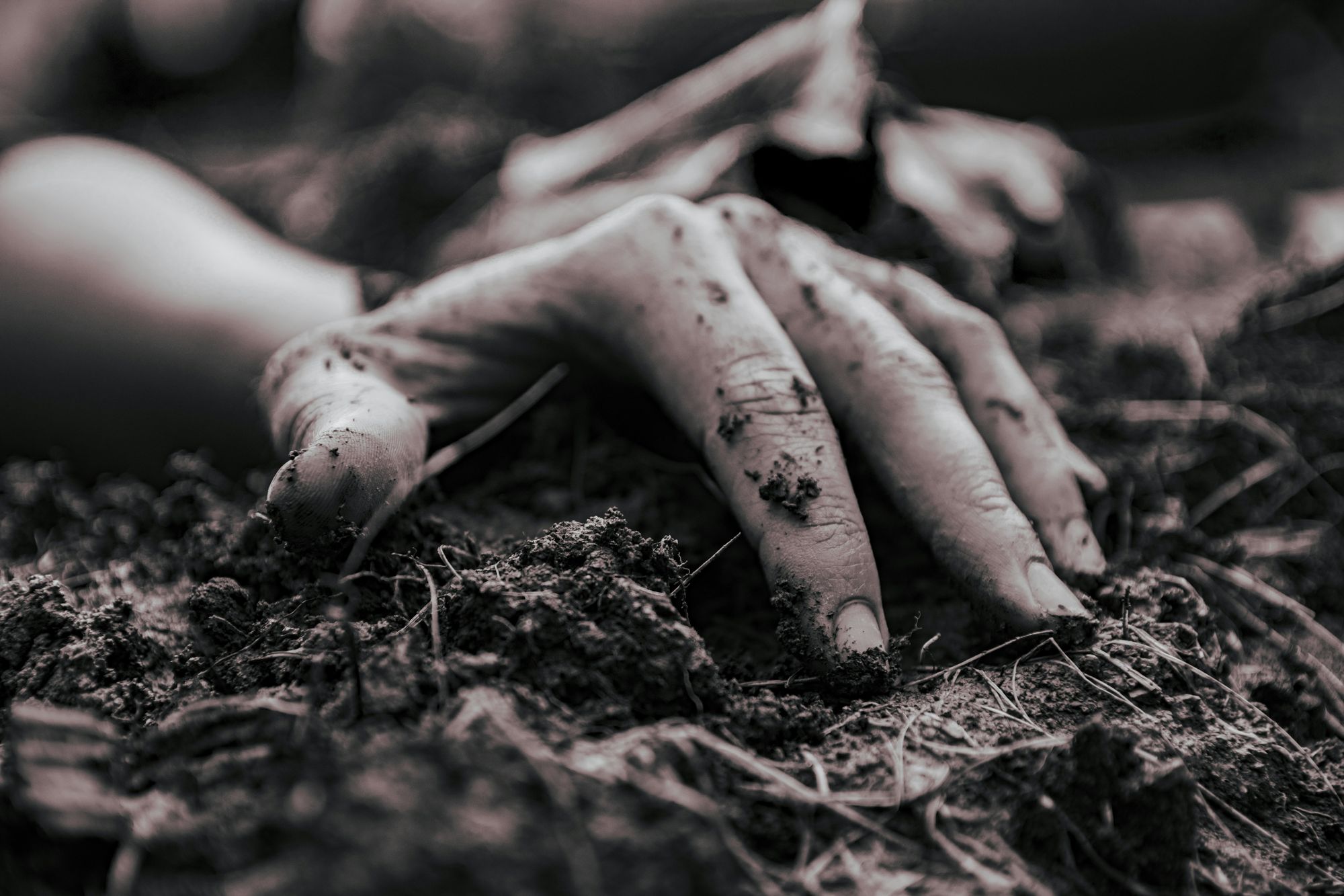 Black-and-white close-up of a hand pressed into soil among dried grass